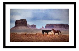 New Release - Wild Horses On The Plains